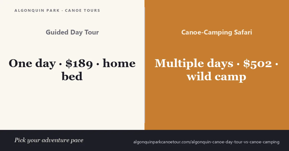 Algonquin canoe day tour vs canoe-camping — a loaded canoe on a quiet interior lake at dawn